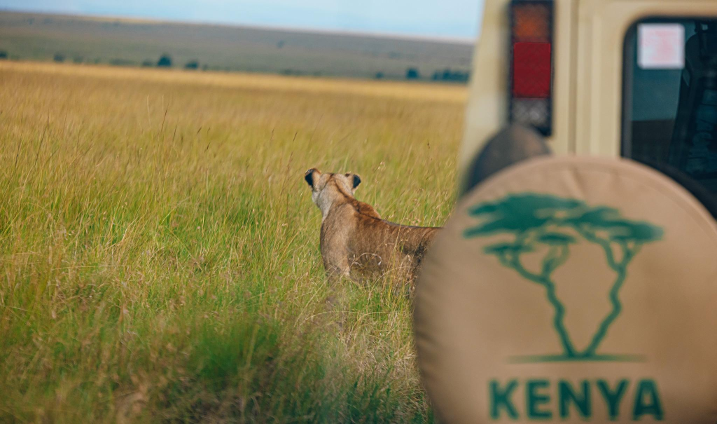 The best Kenyan safari for families: The Solo Traveller Experience