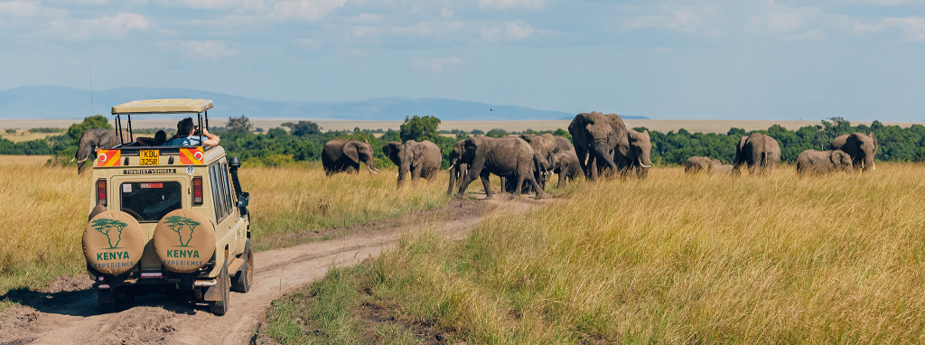 Safaris in East Africa 
