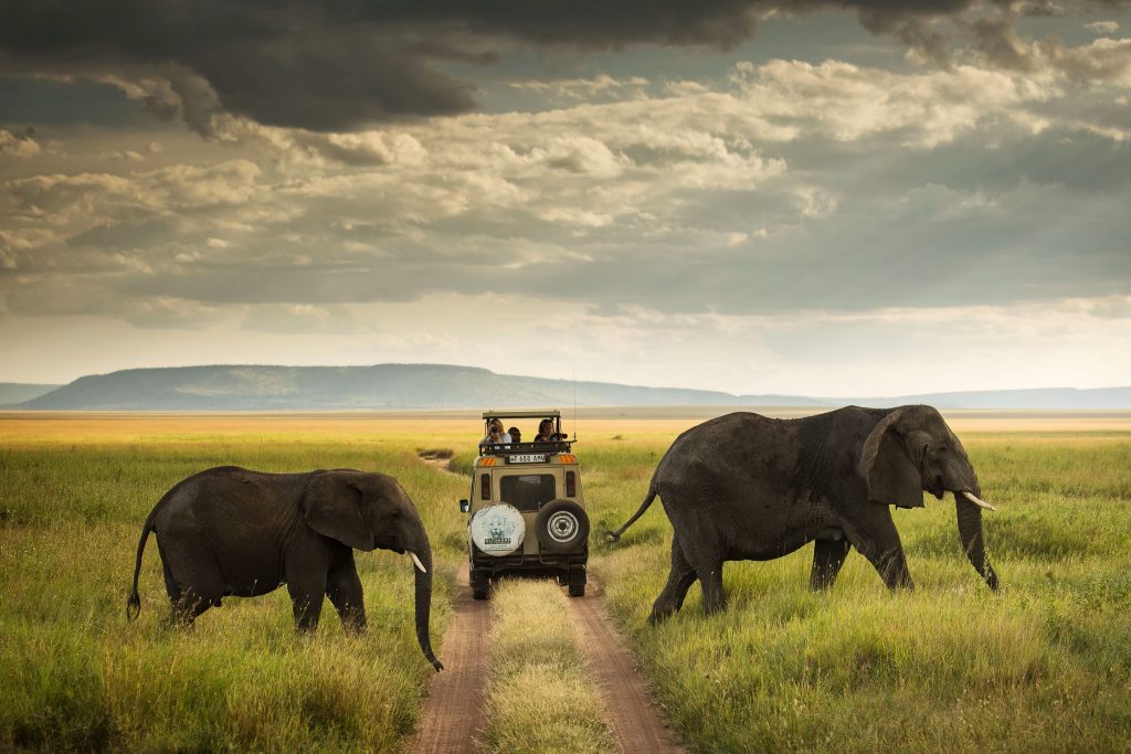 Serengeti Luxury Safari Tanzania