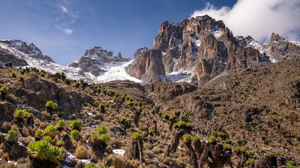Mount Kenya Image